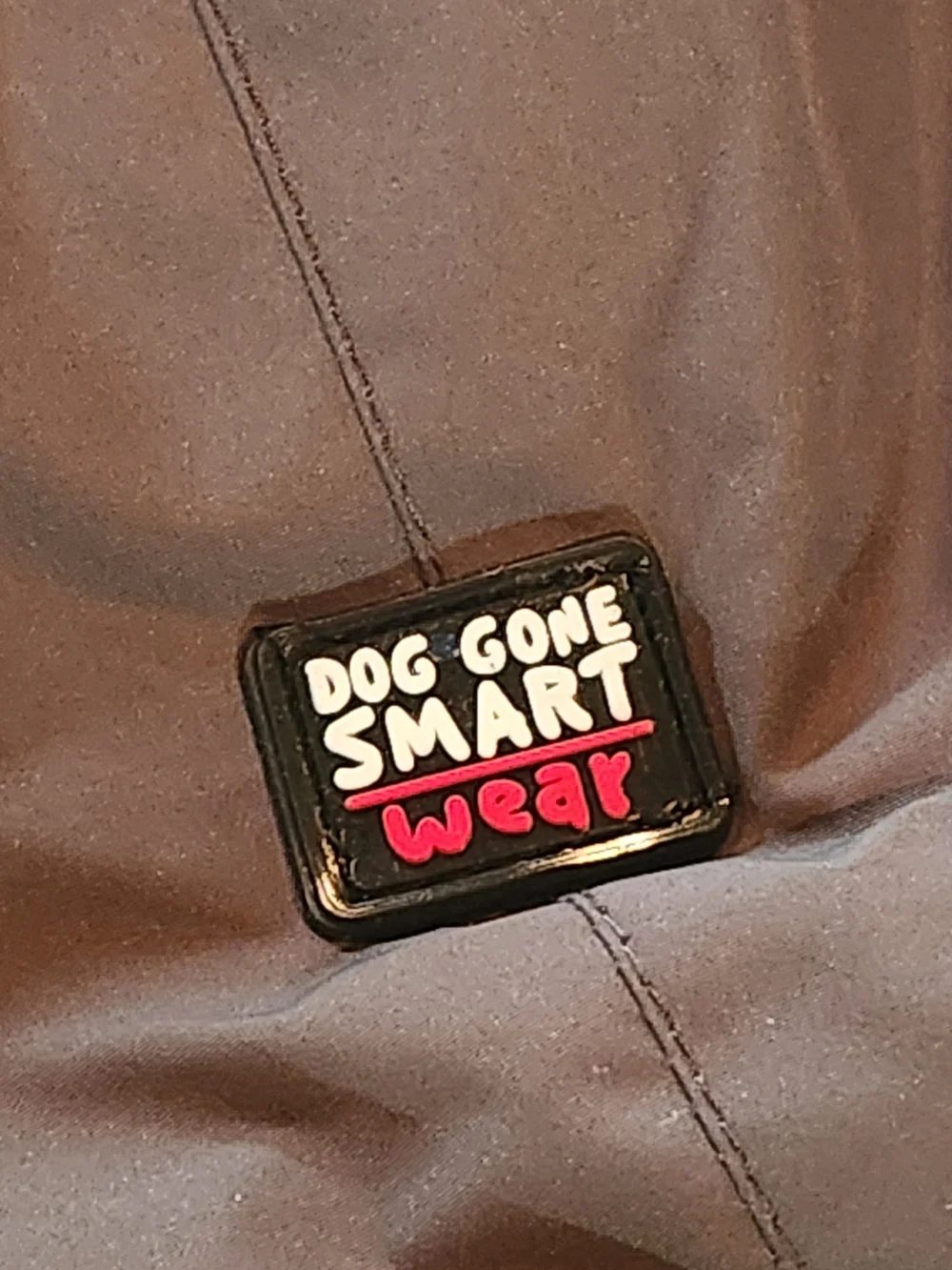 Large Dog Jacket - Gray with Teal Trim